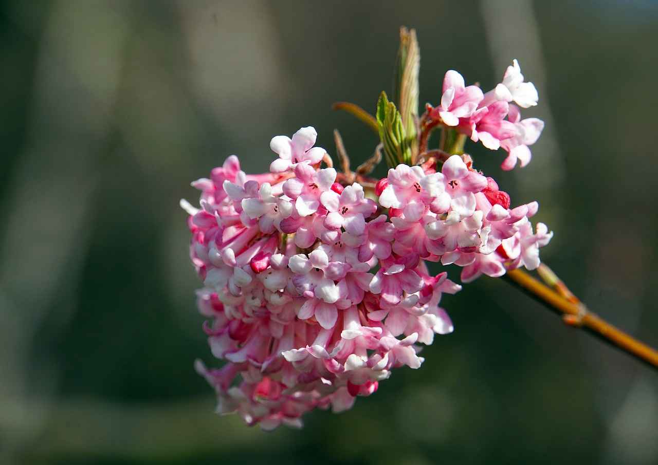 Rahat Uyku İçin En İdeal Nevresim Kalınlığı 3 3. Kalın Nevresimlerin Özellikleri