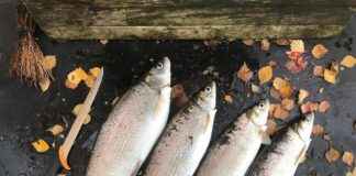 Sade ve Şık Yatak Odaları İçin En Uygun Nevresimler Sade ve Şık Yatak Odaları İçin En Uygun Nevresimler