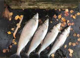 Sade ve Şık Yatak Odaları İçin En Uygun Nevresimler Sade ve Şık Yatak Odaları İçin En Uygun Nevresimler