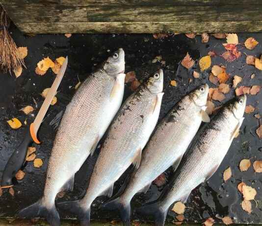 Sade ve Şık Yatak Odaları İçin En Uygun Nevresimler Sade ve Şık Yatak Odaları İçin En Uygun Nevresimler