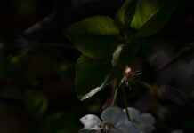 Sezonun En Trend Çiçekli Nevresim Modelleri Sezonun En Trend Çiçekli Nevresim Modelleri