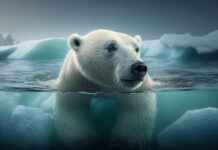 Sıcak İklimler İçin En Hafif Nevresim Modelleri Sıcak İklimler İçin En Hafif Nevresim Modelleri