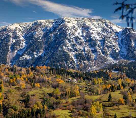 Sonbahar/Kış Sezonuna Uygun Nevresim Trendleri Sonbahar/Kış Sezonuna Uygun Nevresim Trendleri