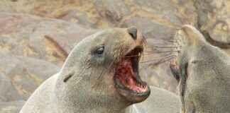 Spor Tarz Sevenler İçin En İdeal Nevresim Modelleri Spor Tarz Sevenler İçin En İdeal Nevresim Modelleri