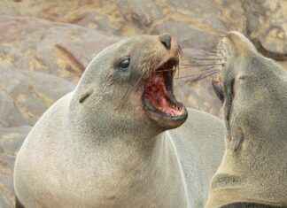 Spor Tarz Sevenler İçin En İdeal Nevresim Modelleri Spor Tarz Sevenler İçin En İdeal Nevresim Modelleri