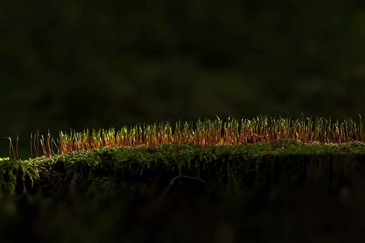 Spor Tarz Sevenler İçin En İdeal Nevresim Modelleri 4 4. Spor Tarzı Nevresim Seçerken Dikkat Edilmesi Gerekenler