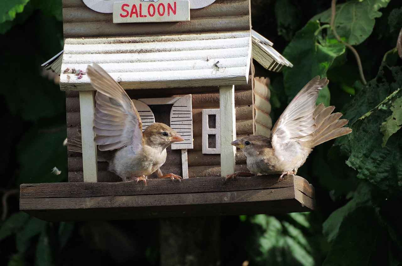 Spor Tarz Sevenler İçin En İdeal Nevresim Modelleri 3 3. Spor Tarzı Nevresimlerin Bakımı