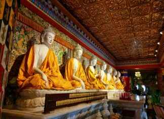 Yastık Kılıfı ve Nevresim Uyumu Nasıl Sağlanır? Yastık Kılıfı ve Nevresim Uyumu Nasıl Sağlanır?