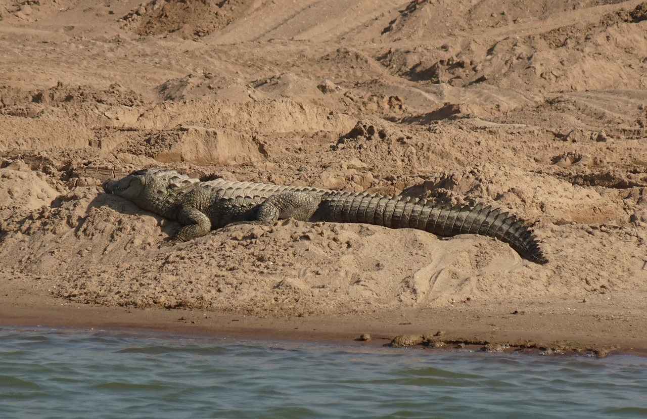 Yatak Başlığı ve Nevresim Takımının Uyumu 3 Nevresim Takımı Seçerken Dikkat Edilmesi Gerekenler