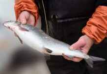 Yatak Odanız İçin En İdeal Nevresim Renkleri Yatak Odanız İçin En İdeal Nevresim Renkleri