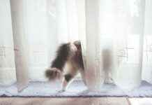 Yatak Odanız İçin Minimalist Nevresim Seçimi Nasıl Yapılır? Yatak Odanız İçin Minimalist Nevresim Seçimi Nasıl Yapılır?