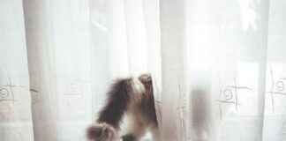 Yatak Odanız İçin Minimalist Nevresim Seçimi Nasıl Yapılır? Yatak Odanız İçin Minimalist Nevresim Seçimi Nasıl Yapılır?