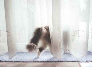 Yatak Odanız İçin Minimalist Nevresim Seçimi Nasıl Yapılır? Yatak Odanız İçin Minimalist Nevresim Seçimi Nasıl Yapılır?