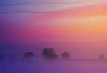 Yatak Odanız İçin Pastel Renklerde Nevresim Setleri Yatak Odanız İçin Pastel Renklerde Nevresim Setleri