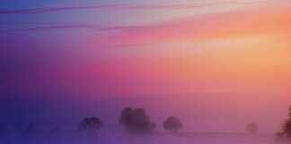 Yatak Odanız İçin Pastel Renklerde Nevresim Setleri Yatak Odanız İçin Pastel Renklerde Nevresim Setleri