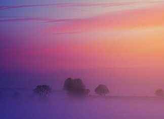 Yatak Odanız İçin Pastel Renklerde Nevresim Setleri Yatak Odanız İçin Pastel Renklerde Nevresim Setleri