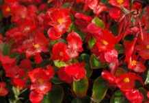 Yatak Odanızı Dekore Edecek Nevresim Renkleri Yatak Odanızı Dekore Edecek Nevresim Renkleri