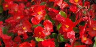 Yatak Odanızı Dekore Edecek Nevresim Renkleri Yatak Odanızı Dekore Edecek Nevresim Renkleri