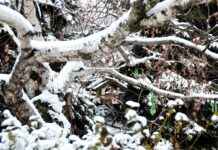 Yazlık Nevresimlerde En İyi Hava Alan Materyaller Yazlık Nevresimlerde En İyi Hava Alan Materyaller