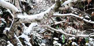 Yazlık Nevresimlerde En İyi Hava Alan Materyaller Yazlık Nevresimlerde En İyi Hava Alan Materyaller
