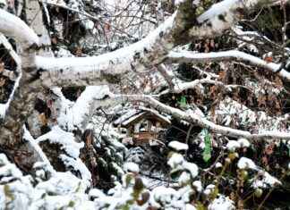 Yazlık Nevresimlerde En İyi Hava Alan Materyaller Yazlık Nevresimlerde En İyi Hava Alan Materyaller