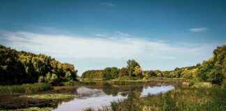 Yeni Sezon Nevresim Renkleri ve Kombinasyonları Yeni Sezon Nevresim Renkleri ve Kombinasyonları