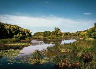 Yeni Sezon Nevresim Renkleri ve Kombinasyonları Yeni Sezon Nevresim Renkleri ve Kombinasyonları