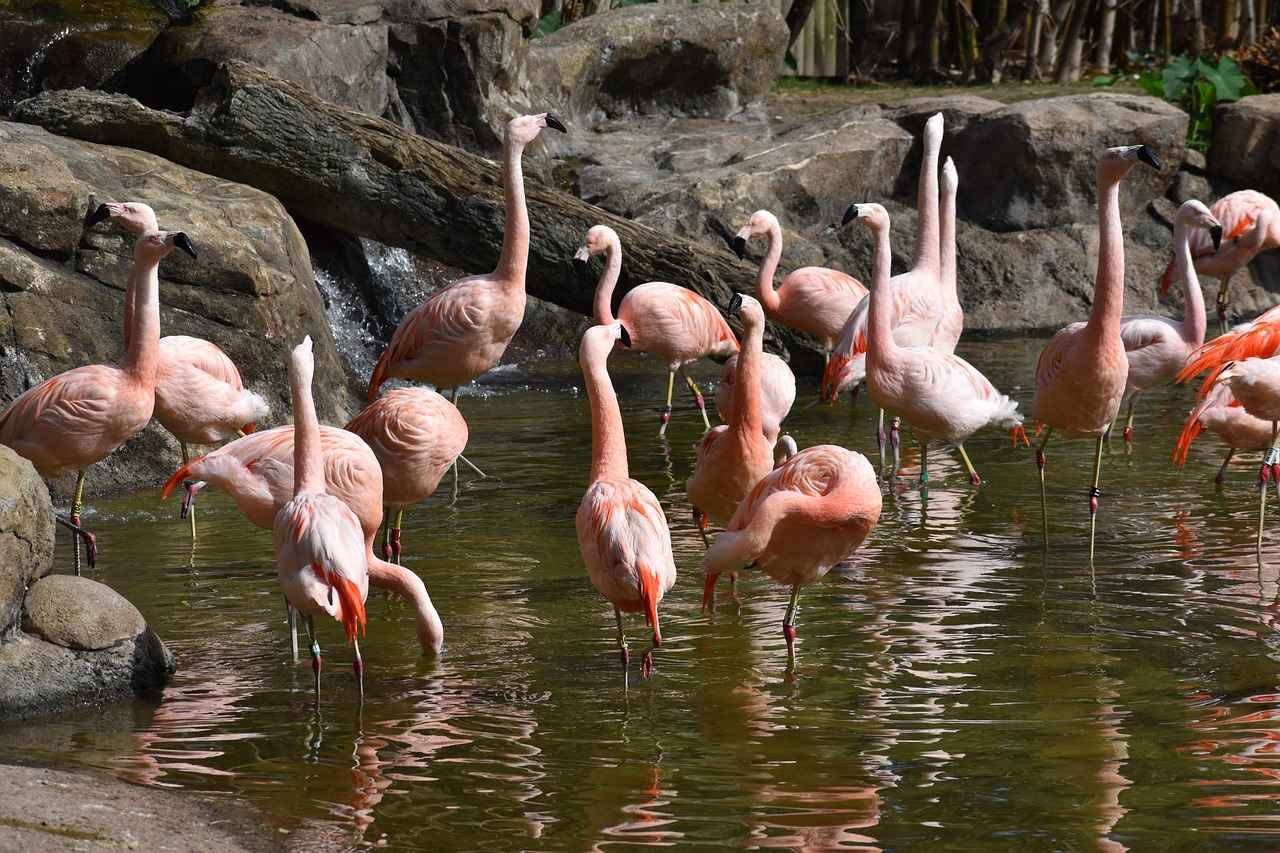 Yeni Sezon Nevresim Renkleri ve Kombinasyonları 4 Sezonun En Trend Desenleri