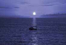 Yüksek Kaliteli Nevresim Nasıl Anlaşılır? Yüksek Kaliteli Nevresim Nasıl Anlaşılır?