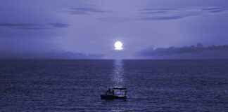 Yüksek Kaliteli Nevresim Nasıl Anlaşılır? Yüksek Kaliteli Nevresim Nasıl Anlaşılır?