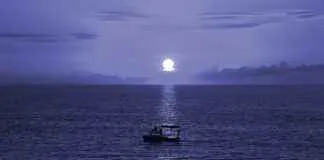 Yüksek Kaliteli Nevresim Nasıl Anlaşılır? Yüksek Kaliteli Nevresim Nasıl Anlaşılır?