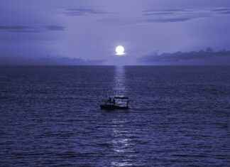 Yüksek Kaliteli Nevresim Nasıl Anlaşılır? Yüksek Kaliteli Nevresim Nasıl Anlaşılır?