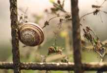 Yumuşacık Nevresimler İçin Yıkama ve Kurulama İpuçları Yumuşacık Nevresimler İçin Yıkama ve Kurulama İpuçları