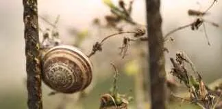 Yumuşacık Nevresimler İçin Yıkama ve Kurulama İpuçları Yumuşacık Nevresimler İçin Yıkama ve Kurulama İpuçları