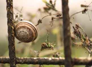 Yumuşacık Nevresimler İçin Yıkama ve Kurulama İpuçları Yumuşacık Nevresimler İçin Yıkama ve Kurulama İpuçları
