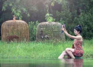 Yumuşak Pamuk Nevresimler ile Konforlu Bir Uyku Yumuşak Pamuk Nevresimler ile Konforlu Bir Uyku