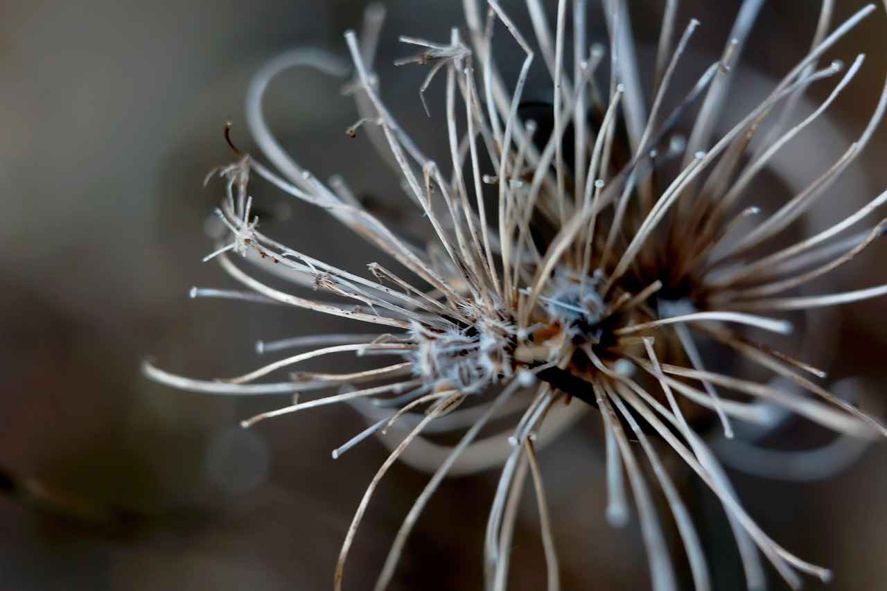 5. Ekolojik ve Sürdürülebilir Malzemeler