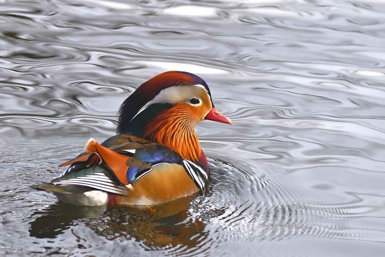 Yıkama ve Bakım Talimatları