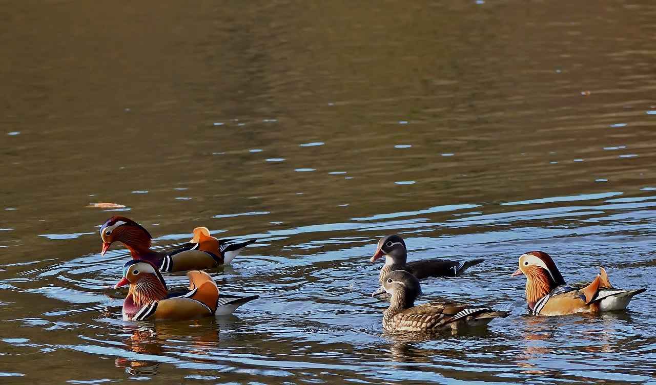 Bebek ve Çocuklar İçin Antialerjik Nevresim Modelleri