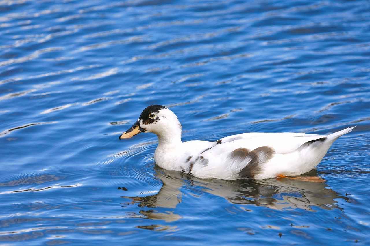 8. Ebeveynlerin Deneyimleri