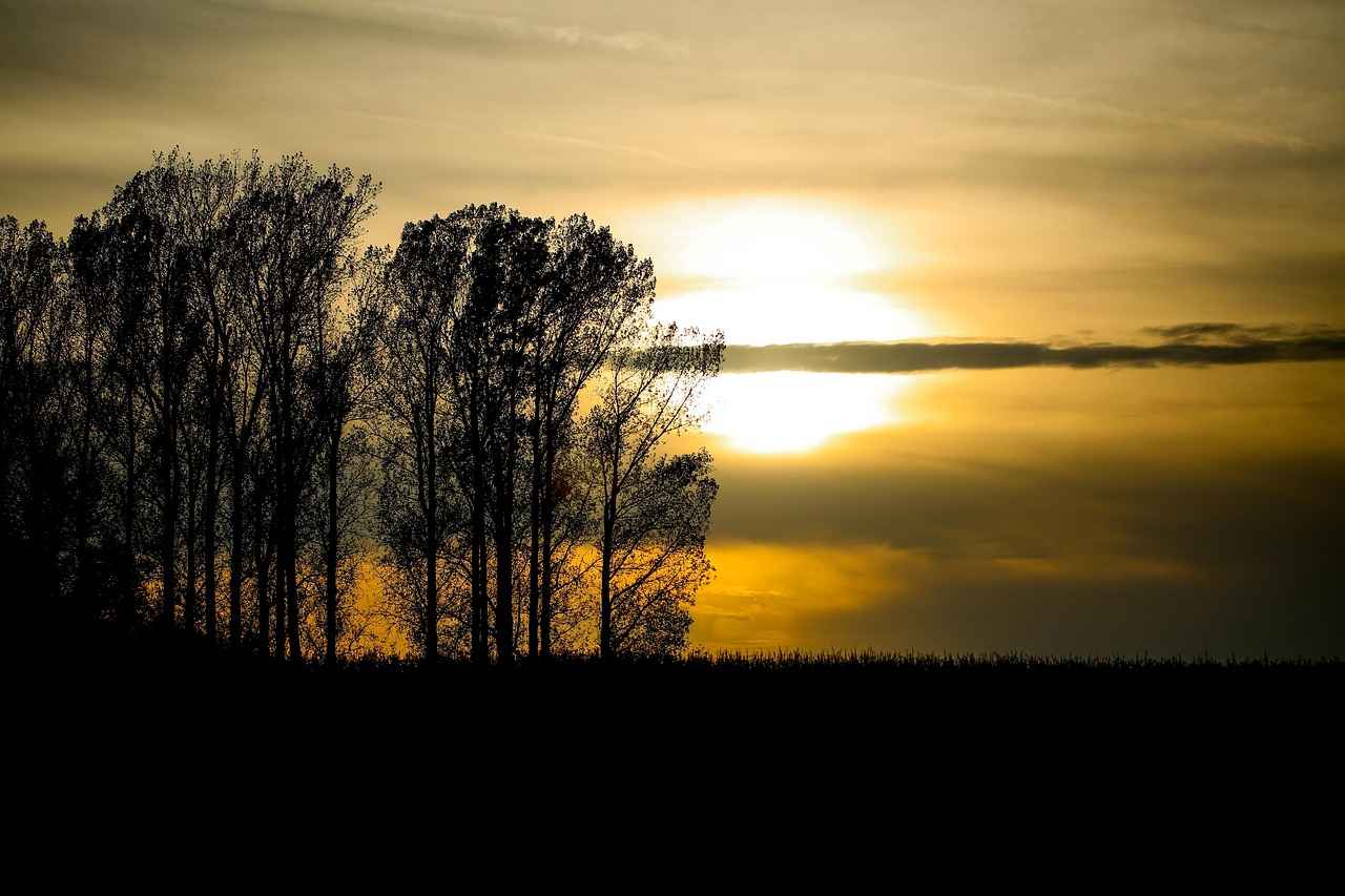2. Nevresim Yıkama Programının Önemi