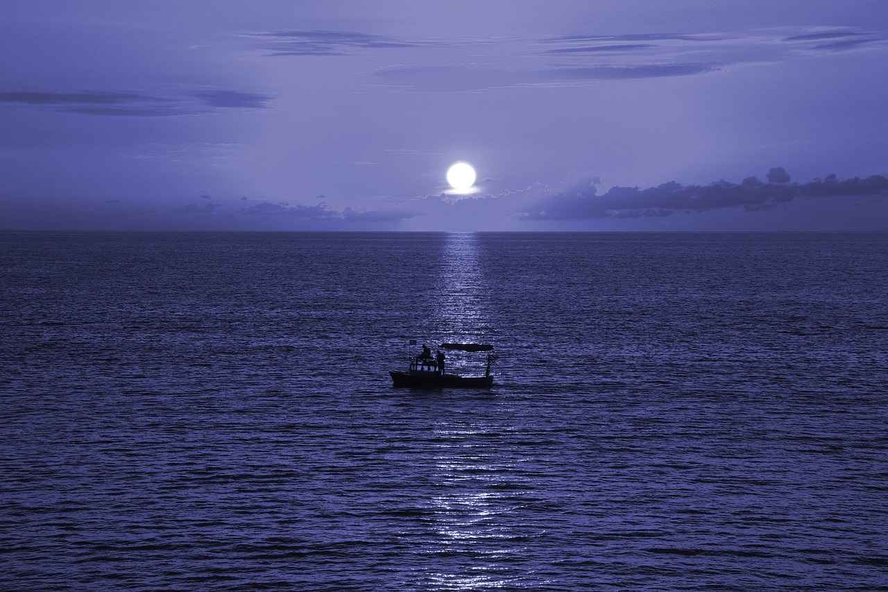 8. Kullanıcı Yorumları ve İncelemeler