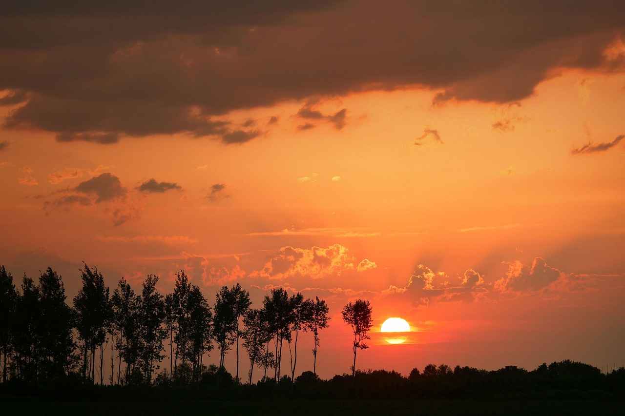 6. Desenli Nevresimlerin Bakımı