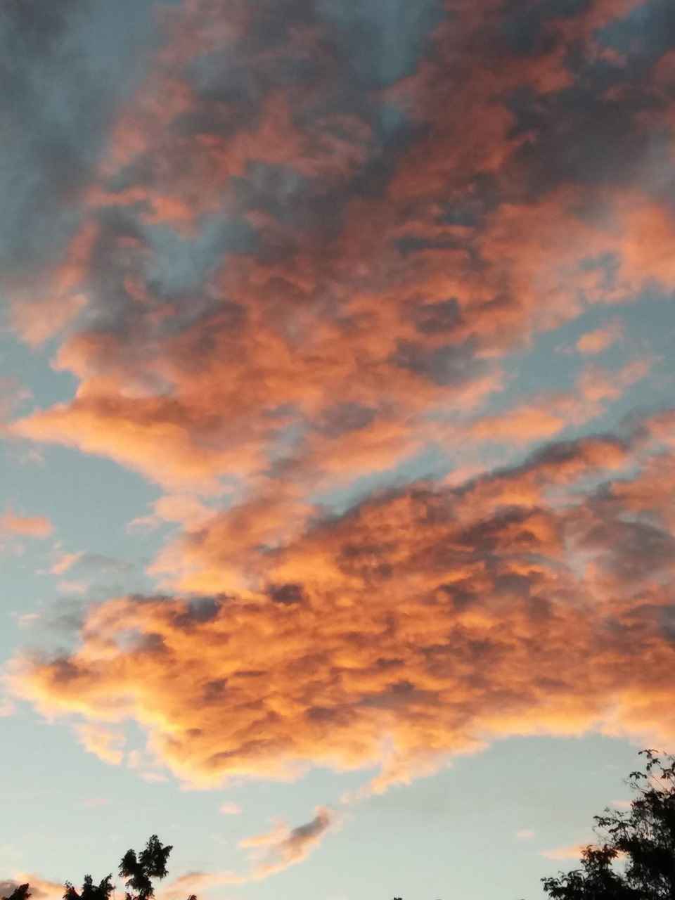 9. Sık Yapılan Hatalar ve Çözümleri