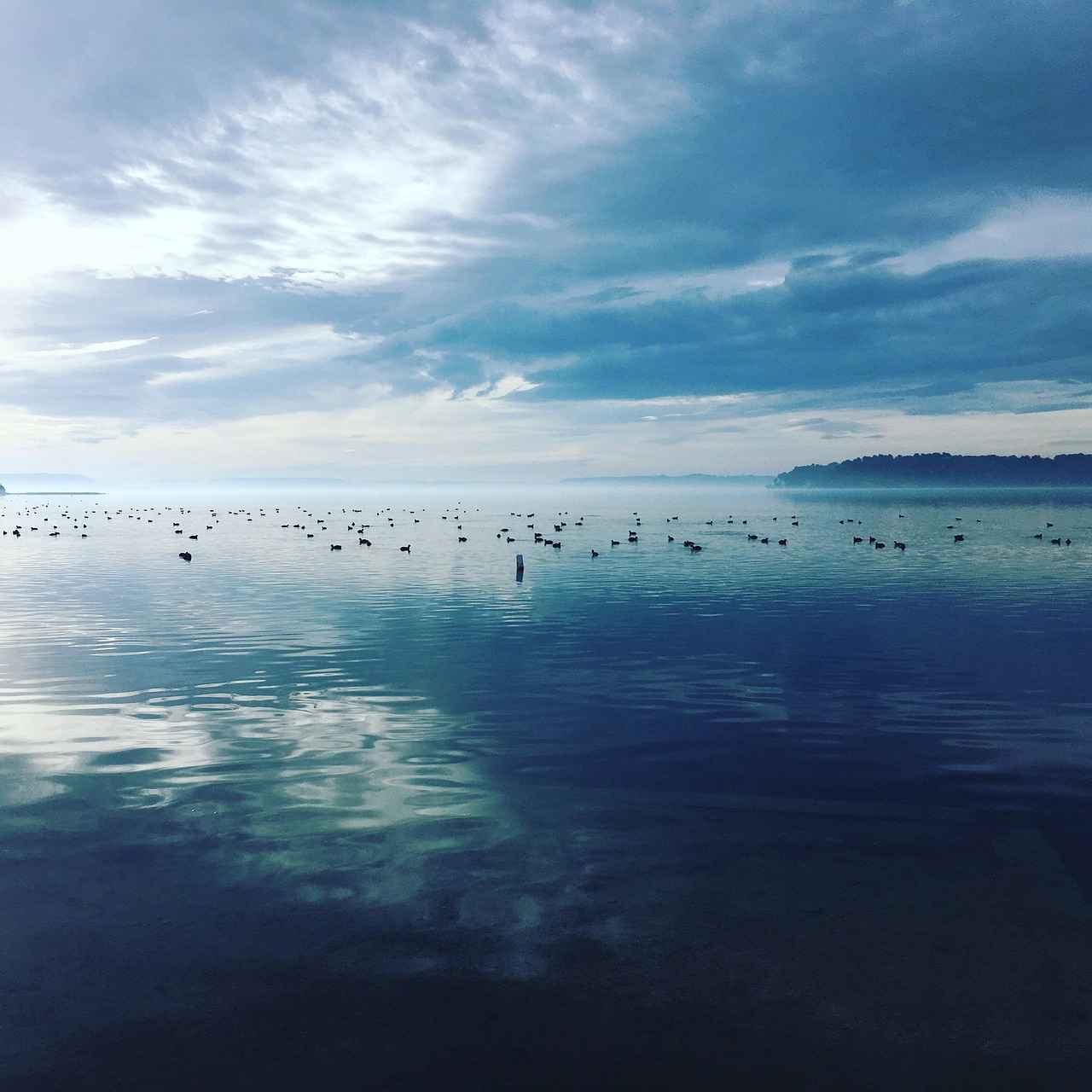 2. Popüler Nevresim Renkleri