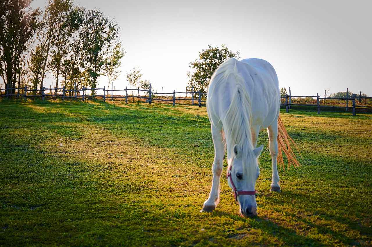 4. Uygun Fiyatlı ve Dayanıklı Nevresimlerin Avantajları