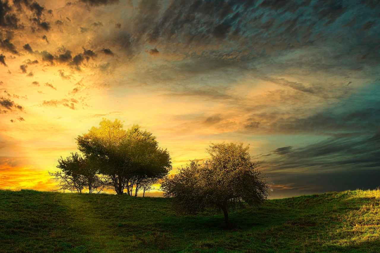 10. Sonuç ve Kendi Tasarımınızı Yaratma