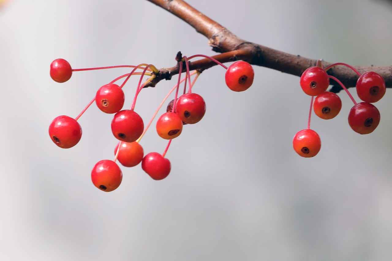 Evinize Ferahlık Katacak Soft Renkli Nevresim Modelleri