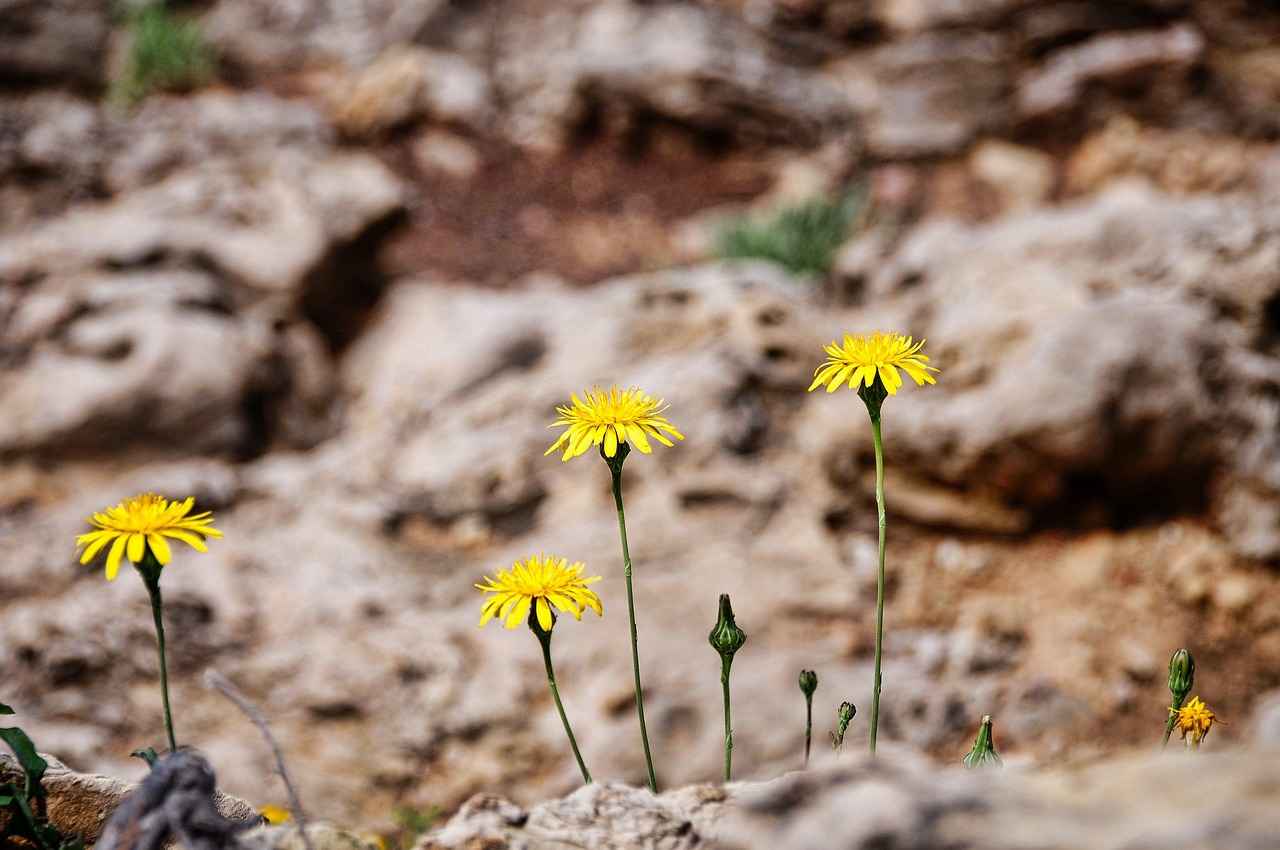 Tek Kişilik Yataklar için Nevresim Boyutları