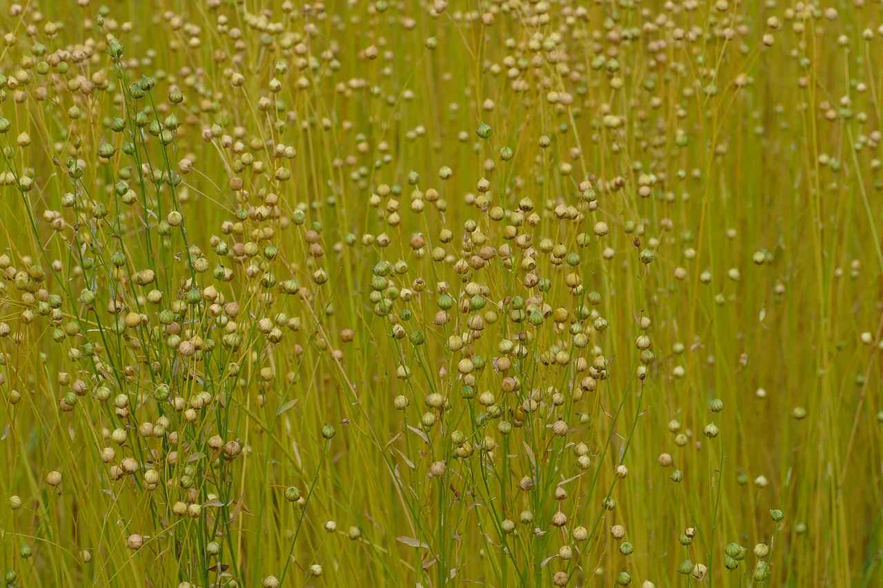 9. Nevresimlerin Çevresel Etkisi